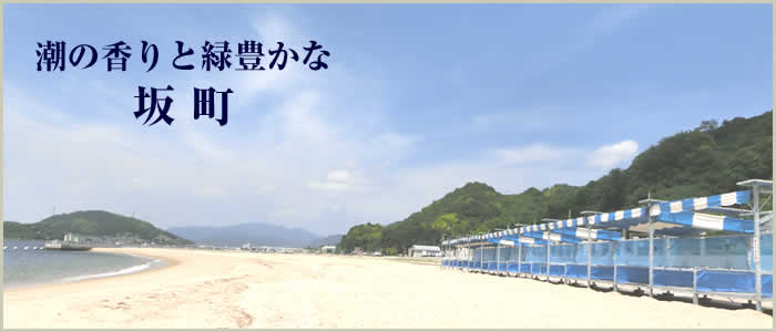 潮の香りが緑豊かな坂町